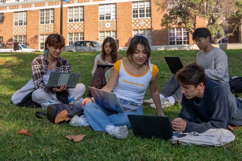 Students sitting on the grass working on their laptops