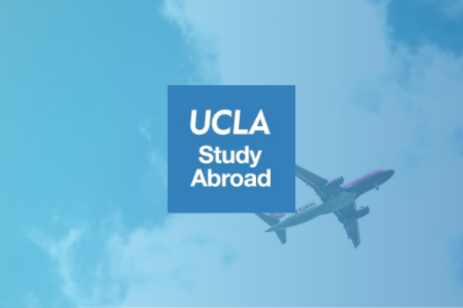 logo - study abroad