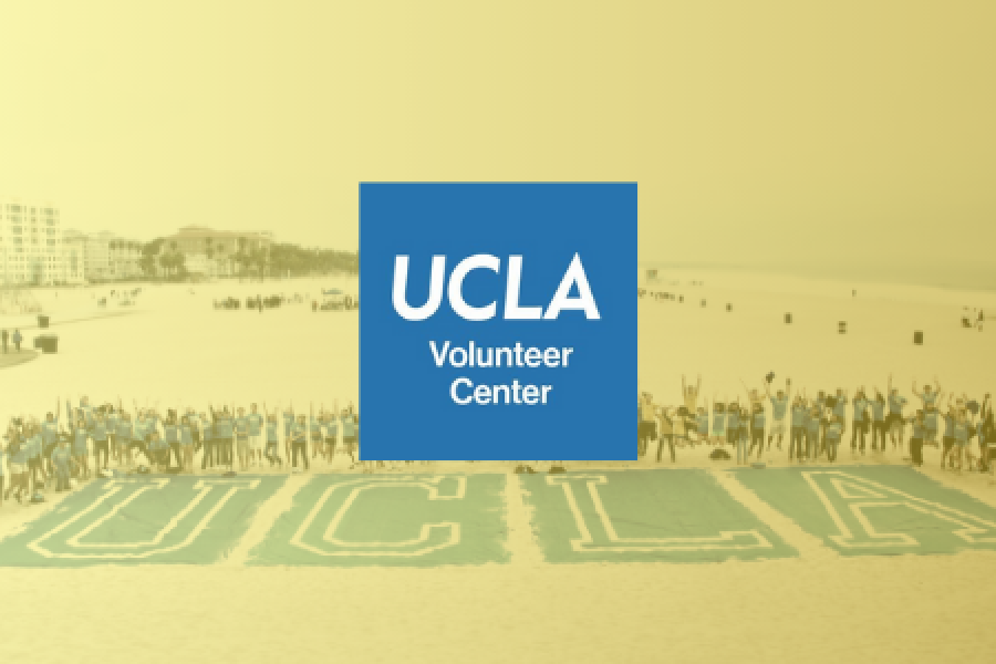 logo - volunteer center